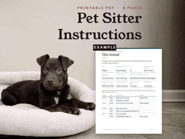 The Pet Sitter Instructions, shown as it appears in its Etsy listing.